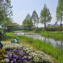 태화강국가정원 이미지