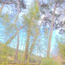 밭고개3길 | 사진작가들이 몰려드는 대구 숨은 매화명소