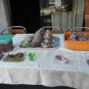 무궁화로_3 이미지