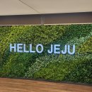 [제주] 동쪽 여행코스 3박4일 추천 / 명란마요소금빵 / 성산 갈치조림 맛집 / 해변추천 / 회 포장