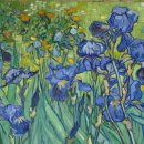 아이리스헤어 이미지