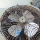 신일농장 이미지