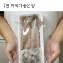 붕붕카과일