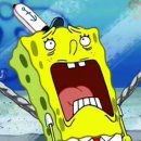 노암마트 | 호주 첫 주 후기!!!