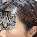 뉴니스의원 이미지