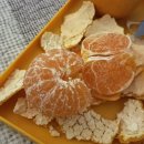 게임아트 | 게임인재원 7기 아트 1차 합격 프리스쿨 후기