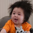 씨케이메디칼 이미지