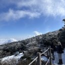 미화횟집 | 한라산등반 근데 이제 제주여행을 곁들인