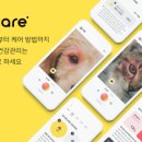 주식회사 한국반려동물신문 이미지
