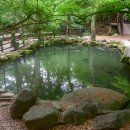 상학초등학교 이미지