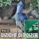 경남 사천 가볼만한 곳 <아라마루 아쿠아리움> 공룡의 후예 슈빌&하마 내돈내산 관람 후기
