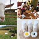 영학농장 이미지