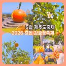 효돈초등학교 | 5월 제주도 축제 2026 효돈 감귤꽃축제 서귀포 감귤박물관 감귤꽃향기따라걷기 트멍길 후기
