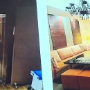 참약사패밀리약국 이미지