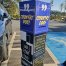 컨트리애견 이미지