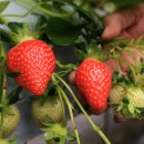 산청중산관광지 이미지