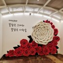 제니아빈 이미지