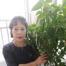 종만농장 이미지