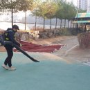 솔샘초등학교 병설유치원 이미지