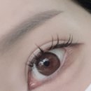 이신호 속눈썹 본점