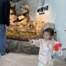 대봉자판기