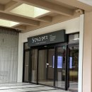 강아지클럽 | 소노펫 클럽앤리조트 비발디파크 후기｜강아지 동반 숙소 찐추천, 반려견이 더 행복했던 여행