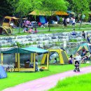 숲속에서 캠핑장 이미지