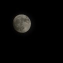 대성안경 이미지