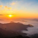 비발디의아침 이미지