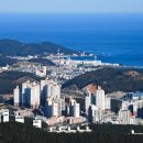 해운대에 올라 이미지