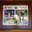 그린티하우스 이미지