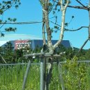 피써티원 | 7/27 티원 홈그라운드 3일차 직관 후기 vsNS