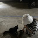 길손민박 이미지