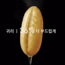1070 | 쿠첸 저당밥솥 10인용 사용 후기 효과 단점 (+CRT-XPD1070IEGI 사용법 가격)