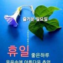 일편단심 민들레 이미지