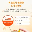 메가비타민