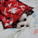 구의경로당 이미지