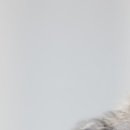 오마이프렌즈 이미지