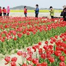 간척지전망대 연합뉴스