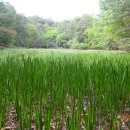 운문마을회관 이미지