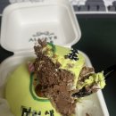 대전레터링케이크 탄방동 얼웨이즈케이크 생일주문 후기
