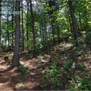 하천리-7 이미지