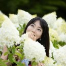 목련로 이미지