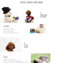 코리아정보시스템 이미지