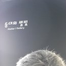 새시대이용원 네이버블로그
