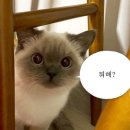 동현