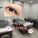 인계동 | [수원/인계동] 올라래쉬 수원인계본점 / 솔직후기 / 인계동 속눈썹 연장 맛집