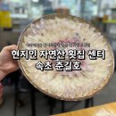 세븐일레븐 설악금강대교로점 | 속초 현지인들 몰래 가는 횟집?｜아바이활어회센터 춘길호 솔직후기 공개
