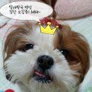 달래GO