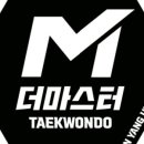 더 마스터 태권도 이미지